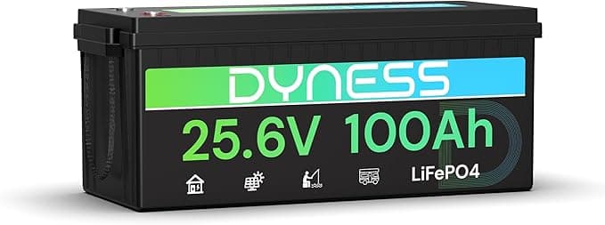 Dyness Batería Litio 24V 100Ah LiFePO4 con BMS 100A y Protección contra Bajas Temperatura, 24V Bateria LiFePO4 para Camper, Solar, Autocaravanas (RV), Barcos de Pesca de Róbalo